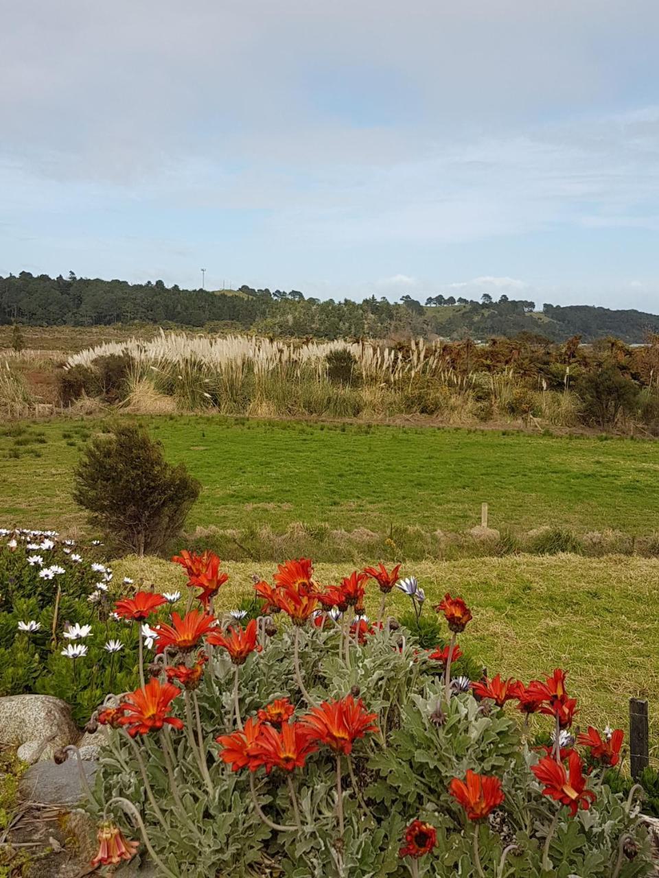The Little Farm Coromandel Hotel ภายนอก รูปภาพ