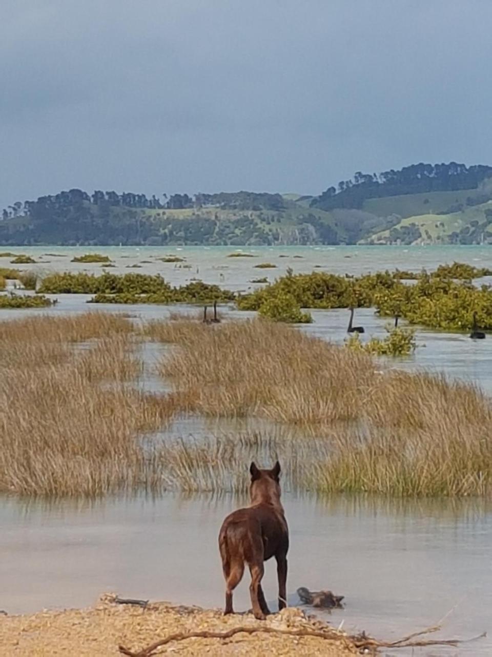 The Little Farm Coromandel Hotel ภายนอก รูปภาพ