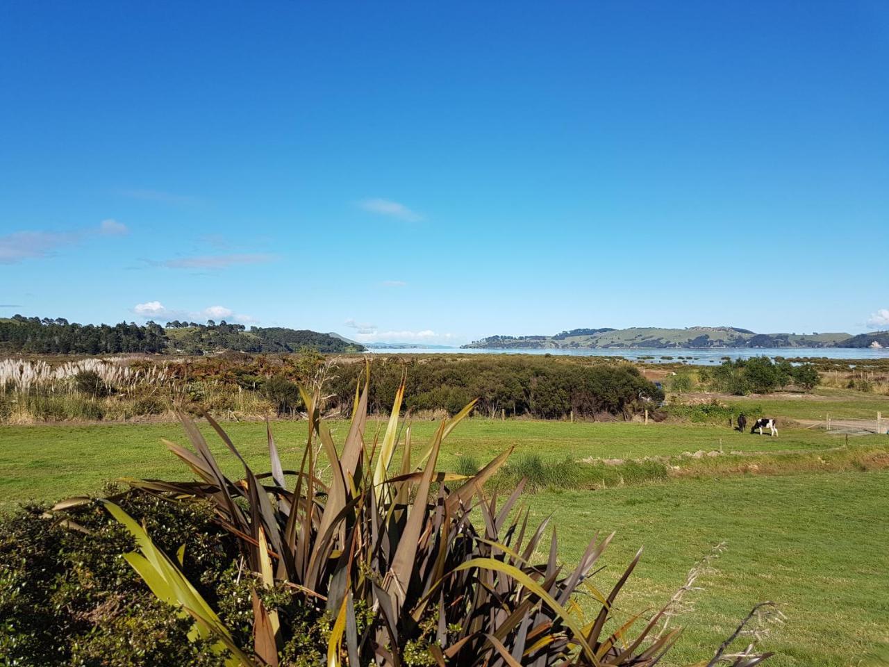 The Little Farm Coromandel Hotel ภายนอก รูปภาพ