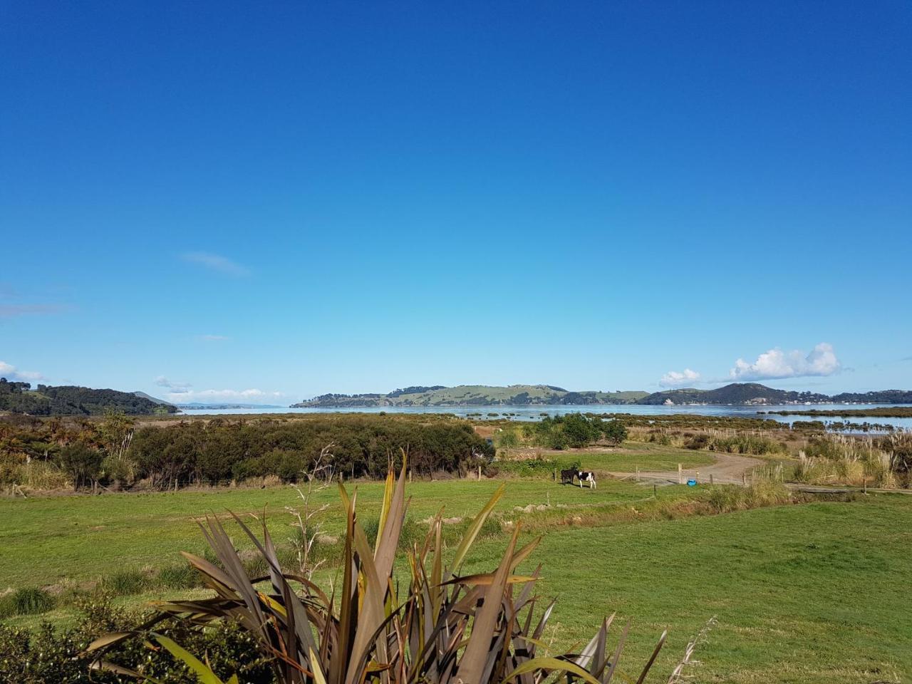 The Little Farm Coromandel Hotel ภายนอก รูปภาพ